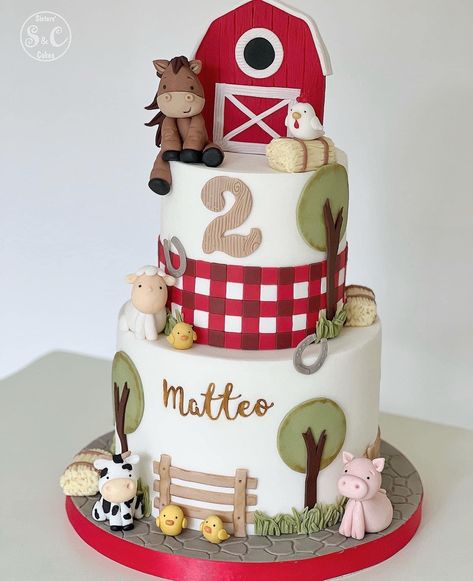 Simple Barnyard Birthday Cake, Petting Zoo Birthday Cake, Barnyard Cakes For Boys, Farm Theme First Birthday Cake, Three I E I O Cake, Not My First Rodeo 2nd Birthday Cake, Farm Birthday Cake Ideas, Birthday Cake Farm Theme, Farm Birthday Party For Boys