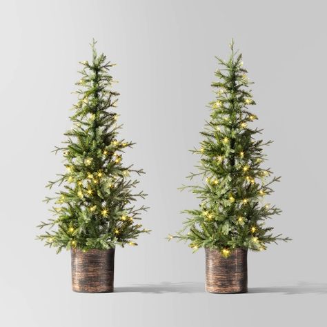 Illuminate your home with this 2-Piece Pre-lit Potted Balsam Fir Artificial Christmas Tree Set from Wondershop™. Set within a decorative pot for easy placement, this set of two artificial balsam fir trees features lush green hinged branches and comes pre-strung with 90 warm white LED bulbs on each tree that bring a festive ambience to your living space. With two in the set, you can opt to set them up in different rooms to spread holiday cheer throughout your home or place both in the same room f Porch Christmas Tree, Christmas Tree Clear Lights, Potted Christmas Trees, Front Door Christmas Decorations, Fir Christmas Tree, Outdoor Christmas Tree, Warm White Led Lights, Pre Lit Christmas Tree, Christmas Tree Set