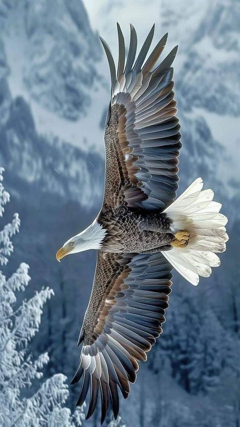 Eagle In Flight Photography, In Flight Photography, Birds Scenery, Bald Eagle Photography, Eagle Photos, Eagle Photography, African Animals Photography, Phone Pictures, Eagle Images