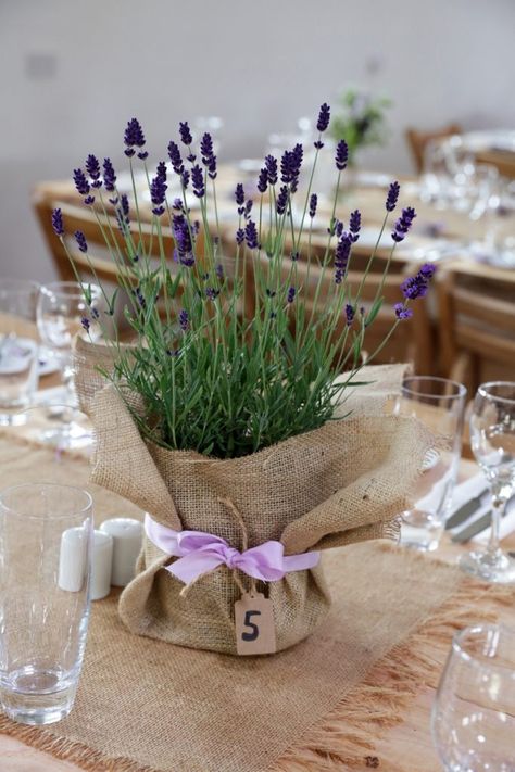 Summer Wedding Decorations Indoor, Lavender Wedding Centerpieces, Lavender Centerpieces, Lavender Wedding Theme, Plant Centerpieces, Potted Lavender, Wedding Color Palette Summer, Rehearsal Dinner Dress, Yellow Wedding Theme