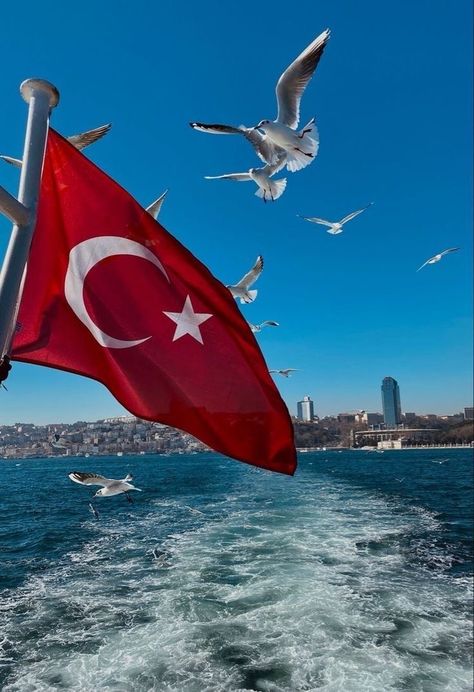 Turkey Pics, Turkey Places, Istanbul Turkey Photography, Turkey Flag, Turkish Flag, Istanbul Photography, Istanbul City, Turkey Photos, Travel Picture Ideas