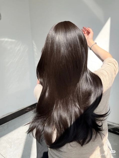 Long Shiny Hair, Hair Style Korea, Hair Inspiration Long, Long Healthy Hair, Luscious Hair, Silk Hair, Asian Hair, Hair Inspo Color, Silky Hair