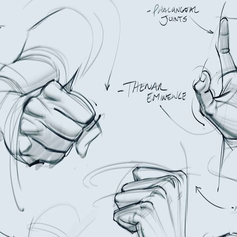 Hand Gestures Drawing Sketches, Hands Palm Up Reference, Hand Gripping Face Reference, Hand Grabbing Head Reference, Hand Reference Open Palm, Hand Poses Drawing Art Reference, How To Draw Knuckles, Fist Reference Drawing, Hand Fist Reference