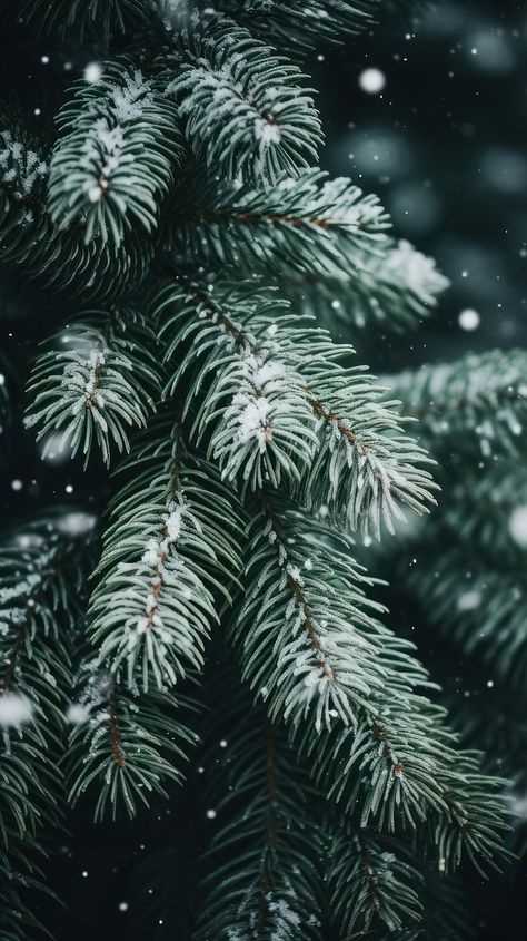 photo winter background snow and | Premium Photo - rawpixel Winter Green Aesthetic, Christmas Wallpaper Snow, Winter Tree Wallpaper, Christmas Aesthetic Art, Fir Tree Aesthetics, Pine Tree Wallpaper Iphone Christmas, Pine Trees Homescreen Christmas, Winter Pine Trees Wallpaper, Pine Tree Phone Wallpaper