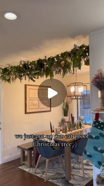 Sandra Martinelli on Instagram: "Here she is… our cat proof Christmas “tree” 🎅🏽🎄" Kitchen Tree Ideas, Christmas Decor Ideas Cat Proof, Christmas Tree Cats Safe, Cat Safe Christmas Tree Ideas, Protect Christmas Tree From Cat, Catproof Christmas Tree, Cat Christmas Tree Ideas, Cat Friendly Christmas Tree Ideas, Diy Cat Christmas Tree