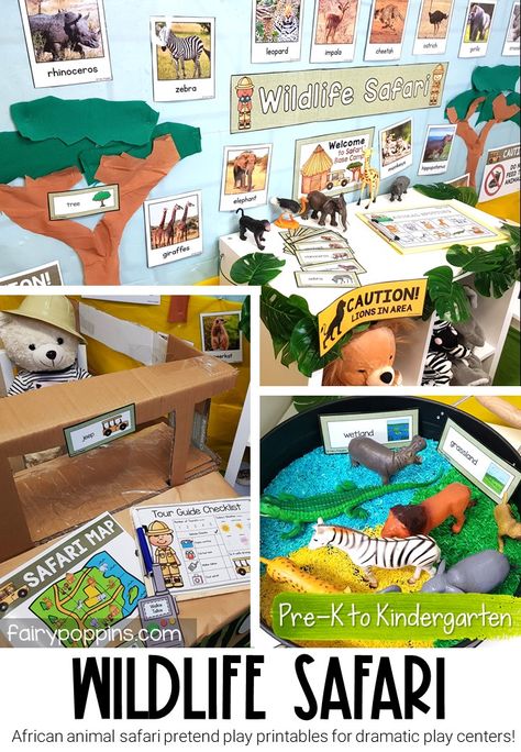 This wildlife safari dramatic play center is a fun way for kids to learn about African animals. Dramatic play helps to promote language development, social skills and play skills. It's great addition to an animal, jungle or safari theme. #safaridramaticplay #safaripretendplay #jungledramaticplay #junglepretendplay #cardboardjeep #jungleclassroom #animalactivities #safariactivities #jungleactivities #pretendplay #dramaticplaycenter #pretendplaycenter #preschool #prek #kindergarten Animal Experiences Preschool, Forest Animals Dramatic Play Preschool, Wild Animals Dramatic Play Preschool, Wildlife Activities For Preschool, Jungle Theme Dramatic Play Preschool, Wild Animals Theme Table Preschool, Animal Theme For Preschool, Dramatic Play Animals, Zoo Dramatic Play Center