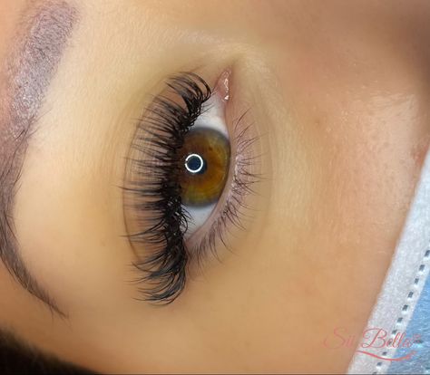 Natural Hybrid Lashes Extensions, Eyelash Extensions Styles Classic Hybrid Volume, Fake Lashes Hybrid, Simple Full Lash Extensions, Subtle Hybrid Lash Extensions, Light Hybrid Eyelash Extensions, Lash Extensions Hybrid Natural, Eyelash Extensions On Straight Lashes, Light Volume Lash Extensions Doll Eye