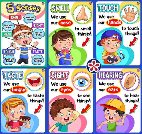 Five Senses Preschool Crafts, 5 Senses Preschool, Five Senses Worksheet, Five Senses Preschool, 5 Senses Activities, Preschool Charts, Senses Preschool, My Five Senses, Senses Activities