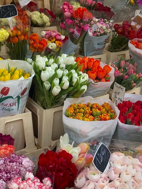 France Spring Aesthetic, French Flowers Aesthetic, French Spring Aesthetic, Spring In Paris Aesthetic, French Market Aesthetic, Nice France Aesthetic, Spring In France, Flower Market Aesthetic, France Vibes