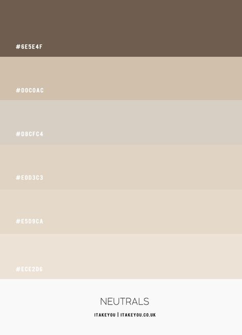 neutral colors, neutrals, neutral colour scheme, neutral color combo, soft neutrals, cool-toned neutral, taupe, beige, ivory Ivory Color Palette Colour Schemes, Ivory Bedroom Ideas Color Palettes, Ivory Colour Palette, Blueberry Bedroom, Beige Shades Colour Palettes, Beige Theme Bedroom, Bedroom Colour Theme, Beige Color Combinations, Taupe Paint Colors