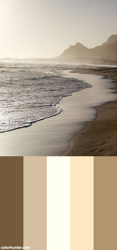 Sepia Surf Color Scheme from colorhunter.com White Color Pallete Colour Schemes, Sepia Colour Palette, Excel Color Schemes, Surf Color Palette, Sepia Color Palette, Beach Color Palettes, Ivory Color Palette, Sepia Color, Paint Color Schemes