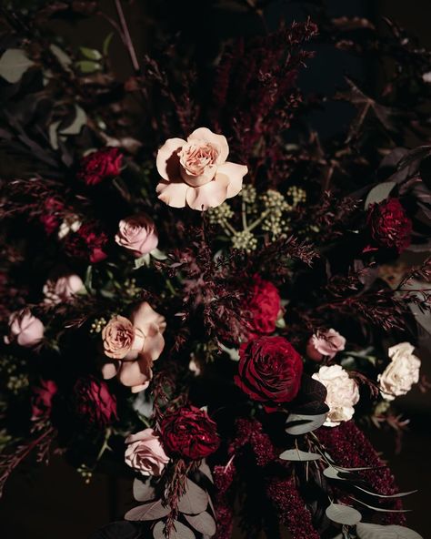 Dark, moody, glamorous & romantic ❤️ Phil & Louise Photographer: @maeganbrownmoments Dress: @jennypackham Cake: @sweetcakesofmine Florist: @bouquetmelbourne Band: @bakerboysband Coordinator: @weddings.by.e Venue: @library_vic / @weddings_showtimeeventgroup Hair & Makeup: @am.mua #burgundyweddingflorals #weddingfloralsmelbourne #weddingflowersmelbourne #weddingbouquet #weddingfloristmelbourne #melbourneweddingflorist #weddingflowers #weddingflorist #bridalbouquet #melbournewedding Dark And Moody Wedding Florals, Dark Moody Bouquet, Dark Moody Wedding Bouquet, Dark Fall Bouquet, Moody Romantic Wedding Flowers, Winter Wedding Moody, Dark Colors Wedding, Gothic Wedding Florals, Dark Floral Bouquet