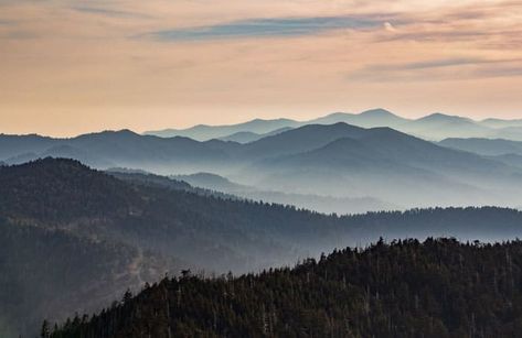 Best Photos of Great Smoky Mountains National Park - My Smoky Mountain Park Mountains Landscape Photography, Smoky Mountains Tattoo, Smoky Mountain Tattoo, Smoky Mountains Photography, Misty Sunrise, Smokey Mountains National Park, Smokey Mountains Vacation, Mountains At Night, Mountains Photo