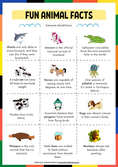 Fun Facts for Kids | 30+ facts for kids - Every kid should know Cute Facts About Animals, Fun Fact For Kids, Fun Facts Animals, Fun Facts For Students, Did You Know Science Facts, Facts About English Language, Random Facts Funny, Fun Facts About Me Ideas, Did You Know Jokes