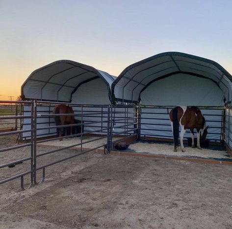 Horse Run In Shelter, Show Cattle Barn, Small Horse Barns, Horse Pens, Horse Shed, Livestock Shelter, Horse Farm Ideas, Diy Horse Barn, Horse Barn Ideas Stables