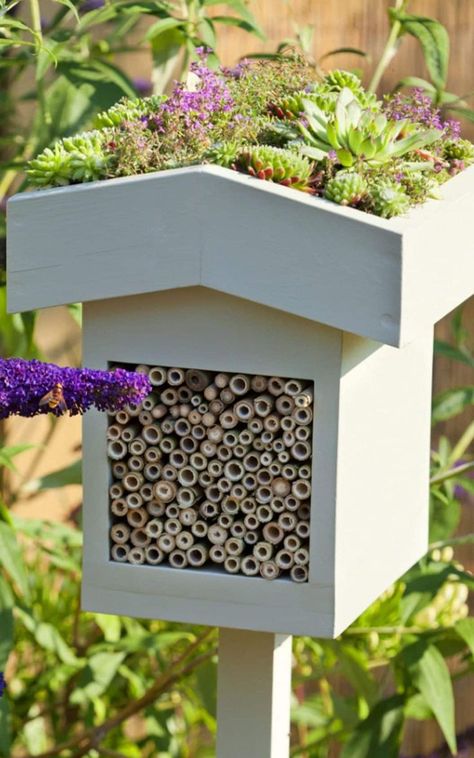 Backyard Bee, Bee Friendly Garden, Jardim Diy, Bee Hotel, Insect Hotel, Bug Hotel, Flowers Growing, Bee Garden, Wildlife Gardening