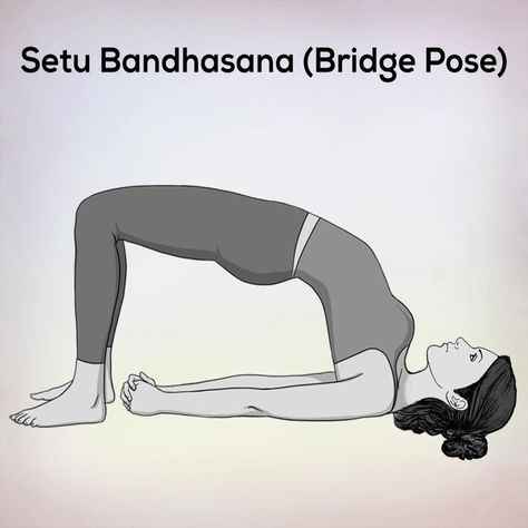 benefits of bridge pose, benefits of supported bridge pose, bridge pose, bridge pose asana, bridge pose benefits, bridge pose cartoon,  bridge pose in yoga, bridge pose sanskrit, bridge pose yoga, how to do the bridge pose, sanskrit for bridge pose, setu bandhasana, yoga bridge pose benefits Setu Bandhasana, Pranayama Breathing Exercises, Tips To Gain Weight, Pranayama Breathing, Bridge Workout, Fish Pose, Mountain Pose, Corpse Pose, Camel Pose