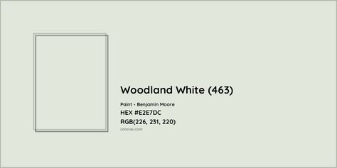 Woodland White Benjamin Moore, Benjamin Moore Woodland White, White Benjamin Moore, Paint Benjamin Moore, House Palette, Munsell Color System, Analogous Color Scheme, Paint Color Codes, Rgb Color Codes