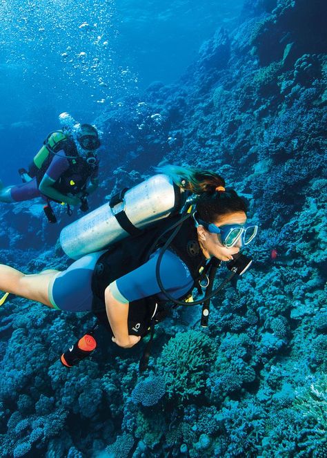 Blue Paradise Dive Center - Egypt Tours Portal Ancient Egyptian Cities, Cairo Airport, Red Sea Diving, Memphis City, Sea Holiday, Egypt Tours, The Red Sea, Visit Egypt, Beautiful Vacations