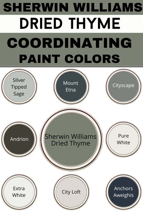 Sherwin Williams Dried Thyme Paint Color Review - West Magnolia Charm Popular Green Sherwin Williams, Dry Thyme Sherwin Williams, Basalt Powder Sherwin Williams Paint, Sherwin Williams Dried Thyme Color Palette, Wherein Williams Dried Thyme, Sherwin Williams Thyme Green, She Twin Williams Dried Thyme, Sherwin Williams Dried Thyme Coordinating Colors, Sherwin Williams Dried Thyme Bathroom