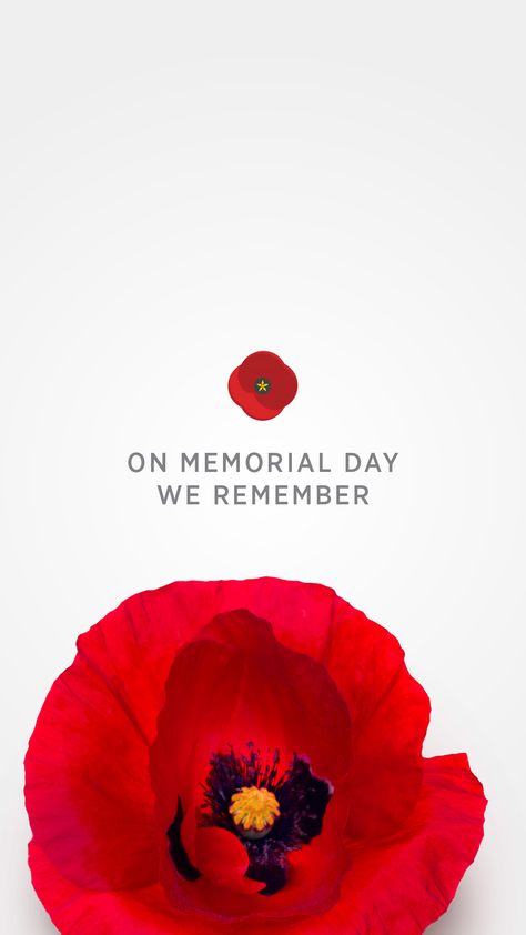 Memorial Day Honoring Those Who Gave Their Lives | USAA Memorial Day Aesthetic, Poppy Memorial Day, Memorial Day Art, Memorial Day Poppies, Memorial Day Foods, Memorial Day Quotes, Memorial Day Decorations, Vietnam Veterans Memorial, Veterans Memorial