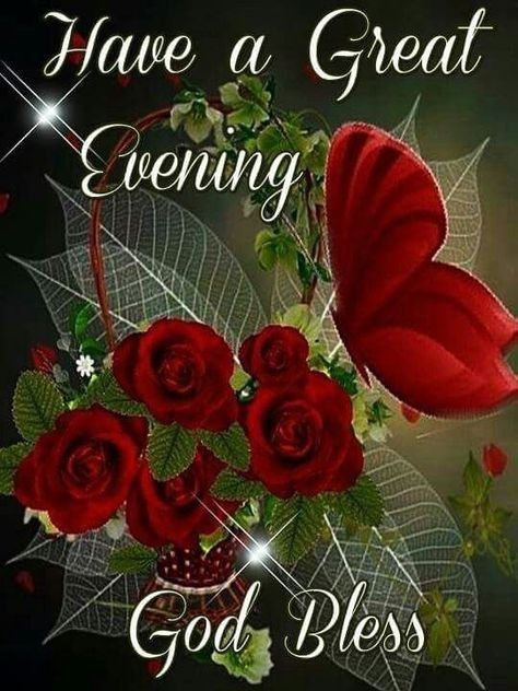 Red Butterfly And Roses - Have A Great Evening quotes quote evening good evening quotes good night quotes evening blessing Good Evening Messages, Good Night I Love You, Good Evening Wishes, Evening Pictures, Evening Quotes, Good Evening Greetings, Evening Greetings, Happy Birthday Greetings Friends, Night Blessings