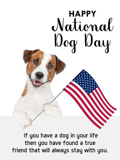 Happy National Dog Day, National Dog Day, Birthday Reminder, A True Friend, Dog Day, Birthday Calendar, Cards Birthday, Birthday Greeting, True Friends