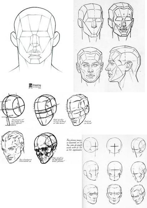 A page to help you understand the planes of the face Andrew Loomis Designs Face Structure Drawing, Draw Heads, Structure Drawing, Planes Of The Face, Garderobe Design, Face Structure, 얼굴 드로잉, Drawing Tutorial Face, Drawing Heads