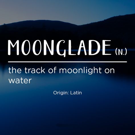 Moonglade noun the track of moonlight on water word definition Nature Words, Unique Words Definitions, Fina Ord, Uncommon Words, Fancy Words, Weird Words, Unusual Words, Rare Words, Word Definitions