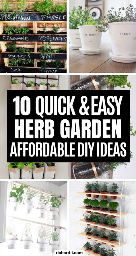 10 DIY Herb Garden Ideas That Look Professional Diy Herb Garden Ideas, Mason Jar Herbs, Mason Jar Herb Garden, Herb Garden Pallet, Herb Garden Ideas, Herb Garden Pots, Outdoor Herb Garden, Herb Garden In Kitchen, Diy Herb Garden