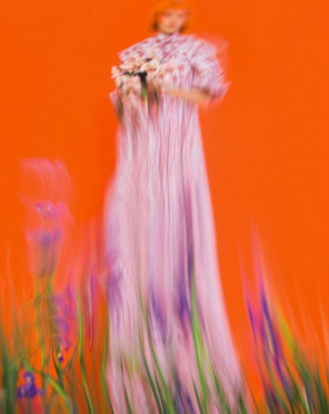 Color Vibe, Summer Wedding Guests, Theatre Poster, Focus Photography, Magazine Editorial, Contemporary Photographers, Colorful Portrait, Creative Portraits, Big Flowers