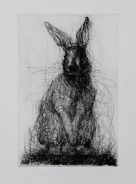 Rabbit, Drypoint and Etching | Works on Paper Ballpoint Pen Art, Drypoint Etching, Art Alevel, Ballpoint Pen Drawing, Frank Stella, Etching Prints, Painting Words, Viewing Room, Art Studies