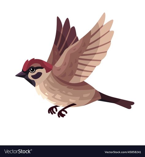 Bird Flying Illustration, Bird Flying Drawing, Sparrow Images, Flying Bird Illustration, Bird Cartoon Character, Flying Bird Vector, Flying Sparrow, Birds Png, Bird Png