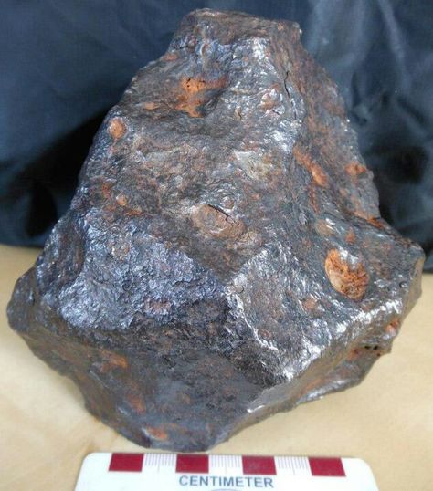 Toluca Iron Meteorite Meteor Rocks, Raw Gemstones Rocks, The Sky Is Falling, Geode Rocks, Space Rocks, Iron Meteorite, Planetary Science, Geology Rocks, Indian Artifacts