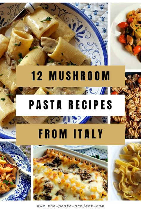 These are the best 12 mushroom pasta recipes on The Pasta Project to date! Some of them are made with foraged mushrooms, some with farmed mushrooms, and some with a mix. Some are vegetarian, some with meat, some with seafood, but all are delicious. If you love mushrooms these recipes are definitely worth trying. #italianpasta #mushroompasta #traditionalpasta #mushroomrecipe #thepastaproject Mushroom Pasta Recipes, Fungi Recipe, Recipes From Italy, Mushroom Pasta Sauce, Authentic Italian Recipes, Spicy Mushroom, Mushroom Recipes Pasta, Italian Recipes Dessert, Mushroom Dish