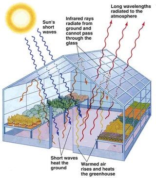 Make Your Own Greenhouse - How Fast the Plants Grow : 10 Steps - Instructables What Is A Conservatory, Greenhouse Supplies, Conservatory Greenhouse, Best Greenhouse, Greenhouse Shed, Build A Greenhouse, Home Greenhouse, Greenhouse Effect, Greenhouse Ideas