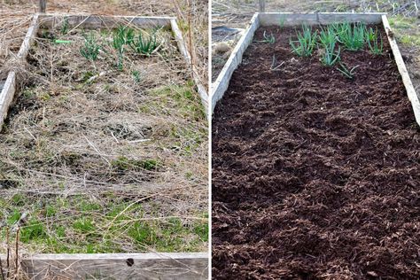 How to Prepare Raised Beds for Spring Bed Springs, Spring Plants, Raised Bed, Garden Bed, Raised Beds, Raised Garden Beds, Raised Garden, Spring Cleaning, Garden Beds