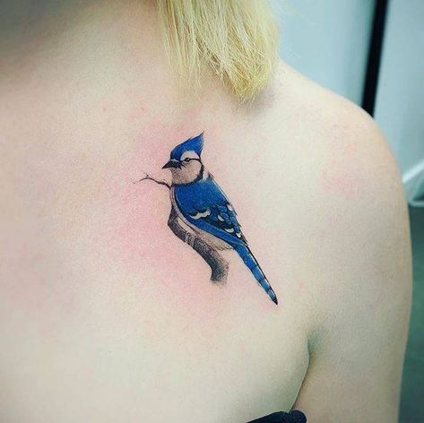 Blue Jay Tattoo, Insect Tattoos, Jay Tattoo, Wrist Tattoos Girls, Red Bird Tattoos, Bluebird Tattoo, Bird Tattoos For Women, 16 Tattoo, Clever Tattoos