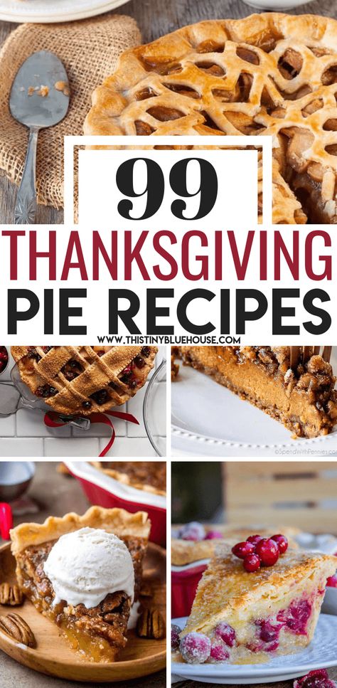 End your Thanksgiving feast on a sweet note with one of 99 best decadent Thanksgiving pie recipes that are a perfect addition to any Thanksgiving table. #ThanksgivingPieRecipes #ThanksgivingPieRecipesHolidays #ThanksgivingPieRecipesBest #HolidayPieRecipes Pie Recipes Thanksgiving, Unique Pie Recipes, Fall Pies Recipes, Pumpkin Chiffon Pie, Pumpkin People, Thanksgiving Baking, Thanksgiving Pie Recipes, Unique Pies, Fall Pies