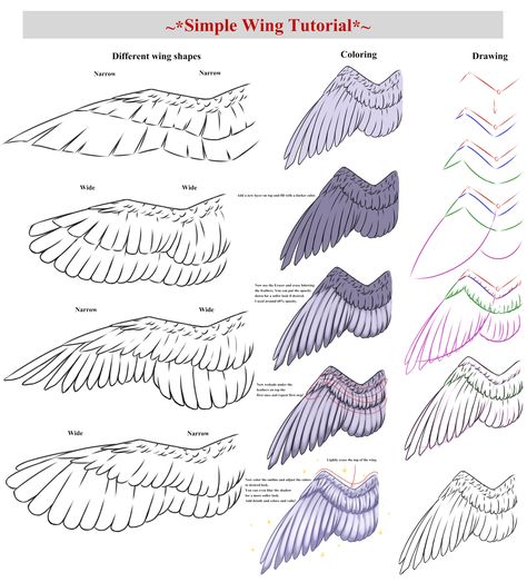 Simple Wing Tutorial by CrimsonxScorpion Feathered Wings Reference, Feathers Reference, How To Draw Feathers, Eye With Wings, How To Draw Wings, Wing Tutorial, Wing Anatomy, Types Of Wings, Wings Sketch