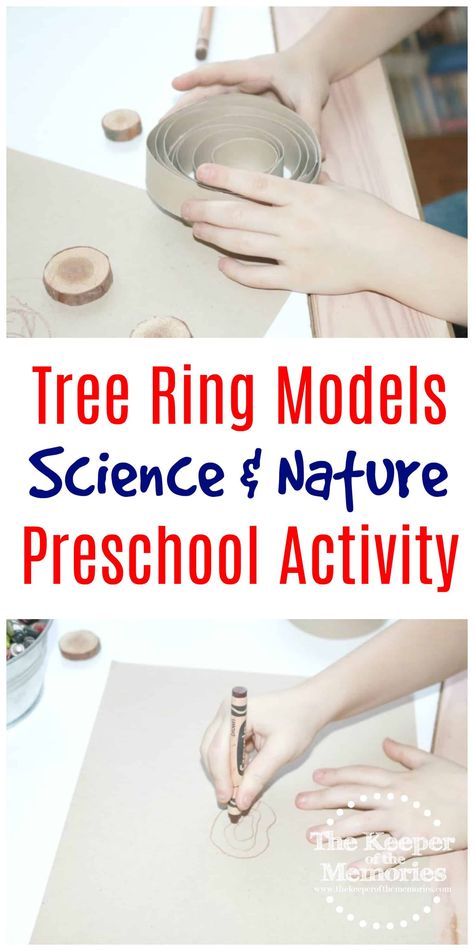 Preschool Life Cycles Tree Ring Model Literacy Activity for Little Kids - The Keeper of the Memories Trees For Preschool Learning, Family Tree Project For School, Tree Crafts For Toddlers, Family Tree Crafts, Tree Crafts Preschool, Nature Preschool, Tree Life Cycle, Project For School, Family Tree Craft