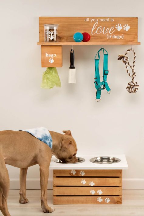 Organize your dog's leashestoysand food with style. Dog Room Decor, Dog Feeding Station, Dogs Diy Projects, Dog Corner, Pet Essentials, Colorful Hairstyles, Dog Home Decor, American Lifestyle, Dog Rooms