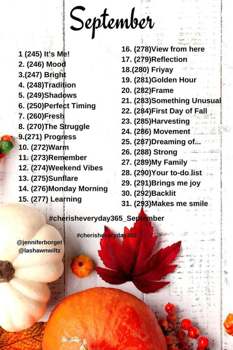 Here are the September Photo a Day Prompts for the Cherish Everyday 365 Photography project on Instagram. September Photo Challenge, September Instagram, Photography Prompts, September Days, Basic Photography, September Challenge, Photo A Day Challenge, Photo Prompts, Film Photography Tips