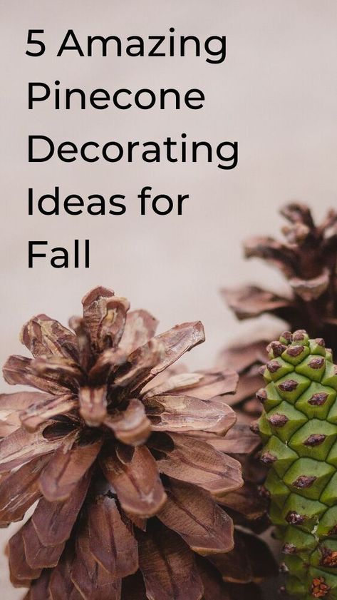 Pine One Fall Crafts For Kids, Pine Cone Centerpieces, Homemade Fall Decorations, Pinecone Decorations, Crafts For Fall, Pinecone Art, Pine Cone Flower Wreath, Face Muscles, Pinecone Crafts Kids