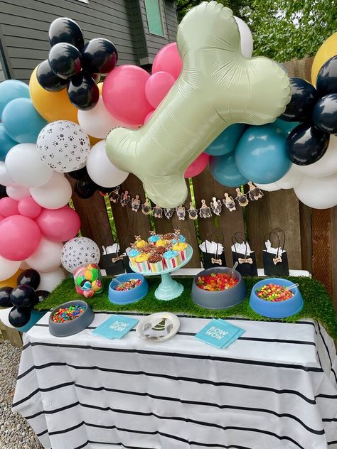 Fiesta Dog Party, Dogs 21st Birthday Party, Dogs Birthday Decorations, Dog Welcome Home Party, Dog Park Party, Puppy Pool Party, Dog Pool Party Ideas, Dog 21st Birthday Party, Dog Quinceanera Party