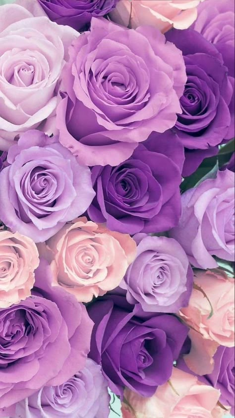 Rose Day, Purple Flowers Wallpaper, Wallpaper Iphone Love, Floral Wallpaper Phone, Beautiful Wallpaper For Phone, Lovely Flowers Wallpaper, Flower Iphone Wallpaper, Purple Wallpaper Iphone, Cute Flower Wallpapers