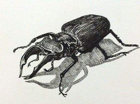 a pen and ink black and white drawing of a stag beetle bug creepy spofford press crosshatching Pen Bug Drawing, Bugs Black And White, Black And White Insects, Mouse Ink Drawing, Creepy Bug Art, Stag Beetle Drawing, Beetle Sketch, Bug Drawing, Beetle Drawing