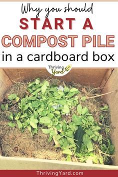 Build Compost Bin, Indoor Composting, Homemade Compost Bin, Outdoor Compost Bin, How To Start Composting, Making A Compost Bin, Tomatoes Growing, Composting 101, Composting Methods