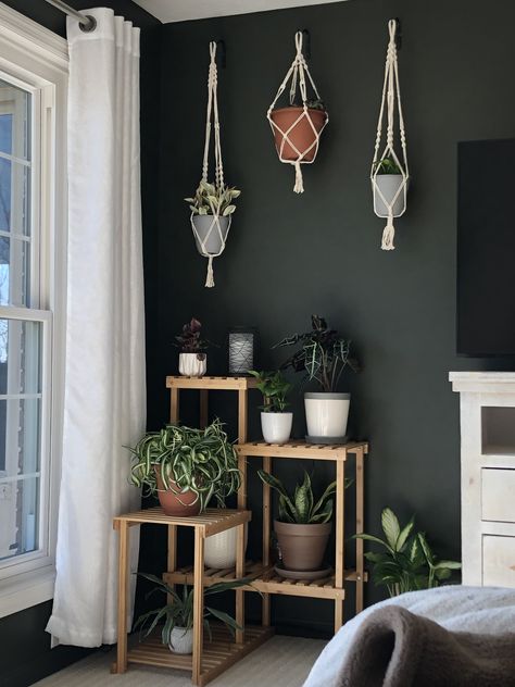 Loving my new corner! Sherwin Williams Shade-Grown paint color. Outdoor Hanging Plants, Moody Paint Colors, Boho Paint Colors, Plants Wall Decor, Moody Paint, Wall Hanging Decorations, Dark Paint Colors, Plants Wall, Dark And Moody