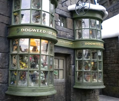 20 Things You Probably Didn’t Know About The Wizarding World Of Harry Potter La Mecca, The Wizarding World Of Harry Potter, Orlando Travel, Universal Studios Orlando, Harry Potter Love, Harry Potter Obsession, Wizarding World Of Harry Potter, Universal Orlando, Harry Potter Universal